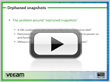 Troubleshoot Orphaned Snapshots