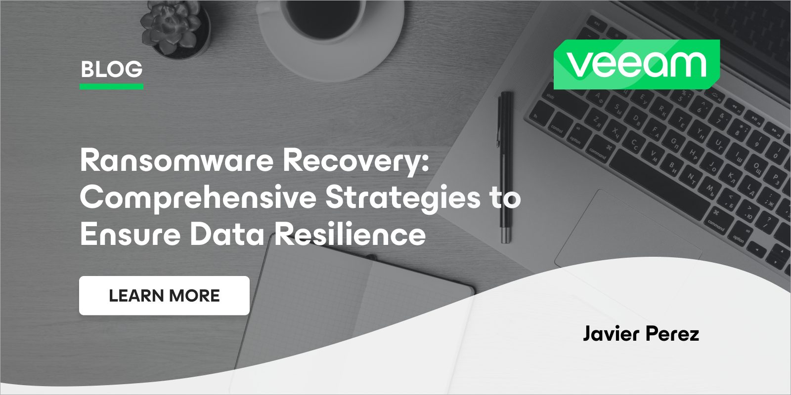 Ransomware Recovery Guide: Strategies to Save Your Data