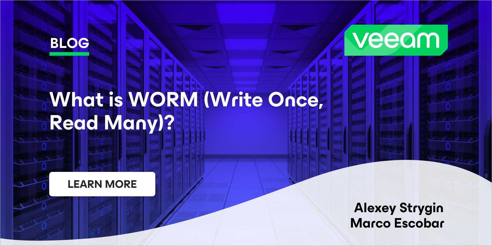 What is WORM (Write Once, Read Many)?