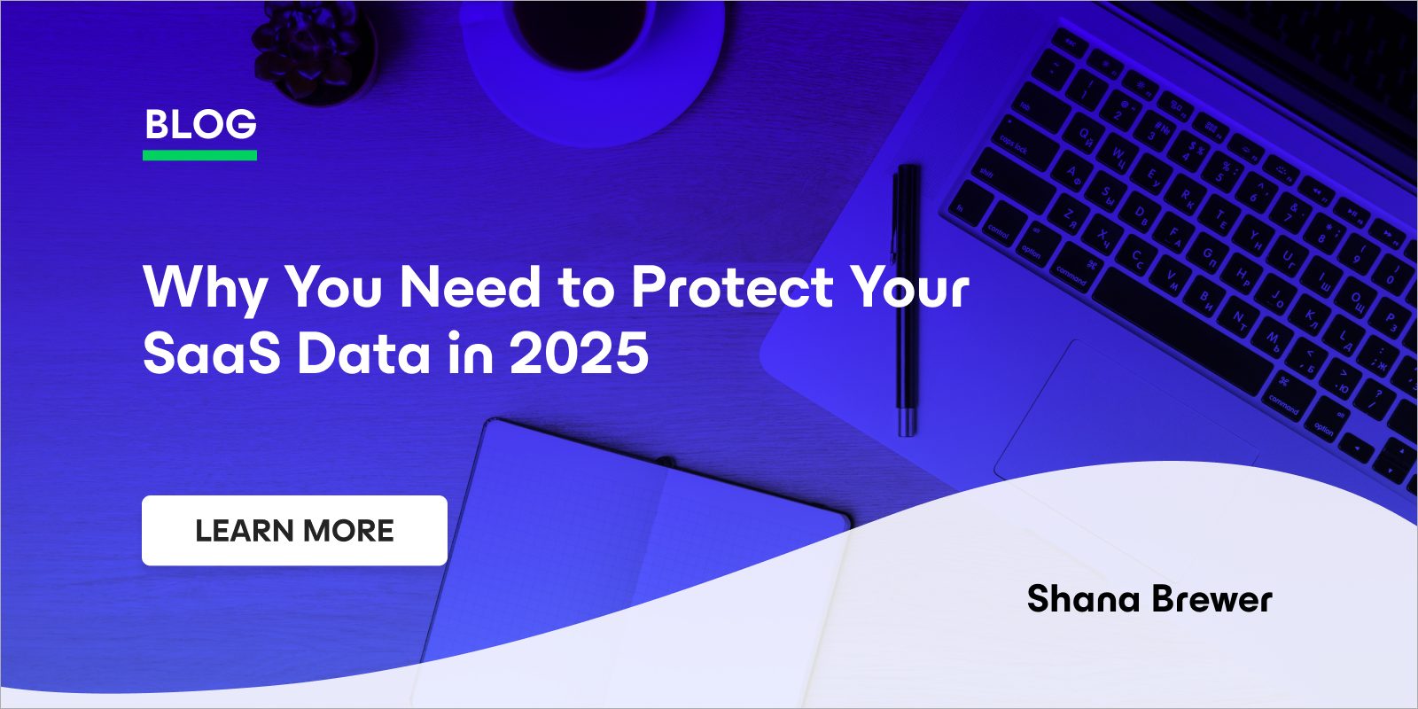 Why You Need to Protect Your SaaS Data in 2025