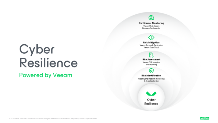 Risk Management Framework Explained | Veeam