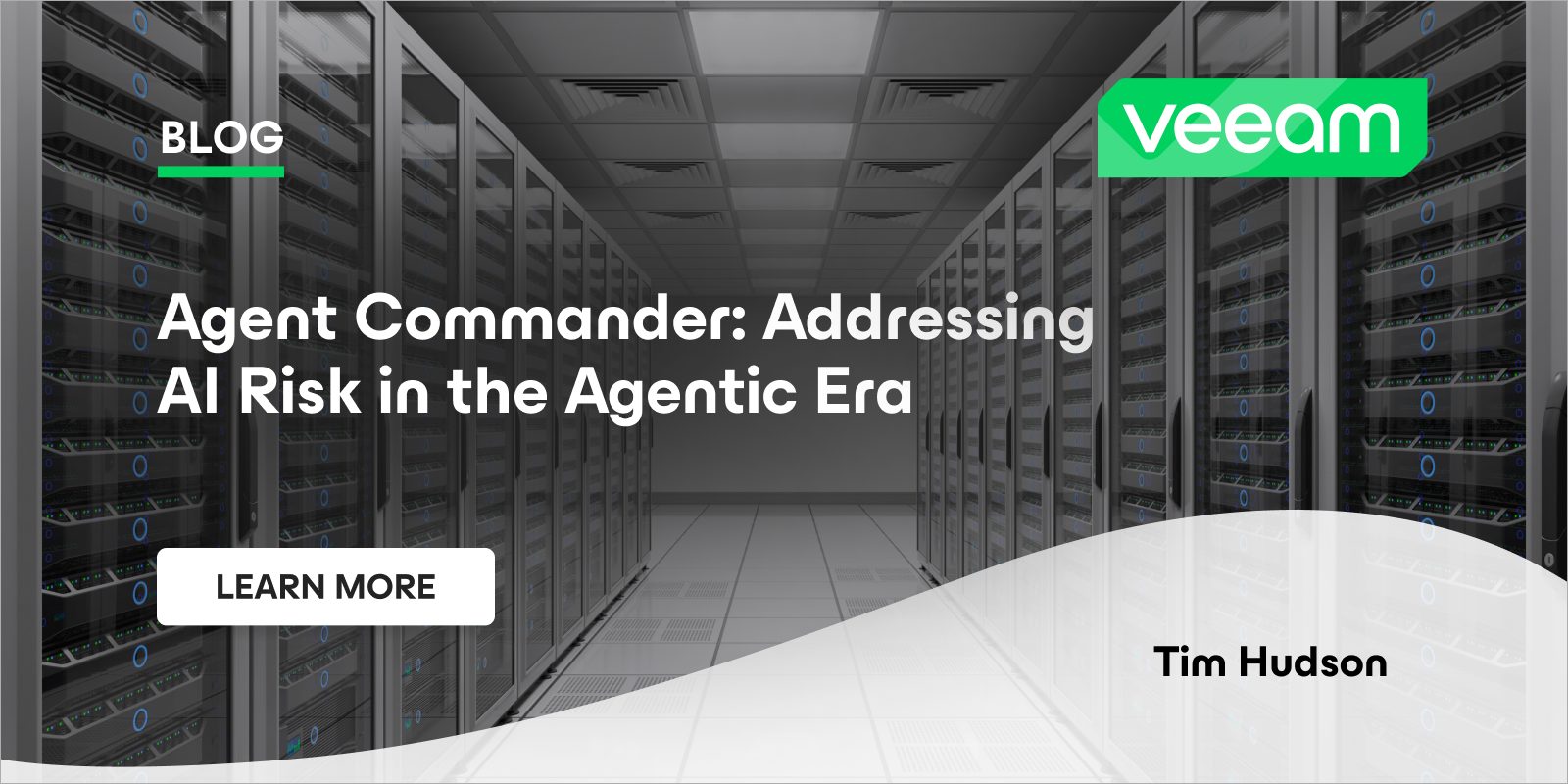 Commander Accepting Risk The First Integrated Solution for AI Risk