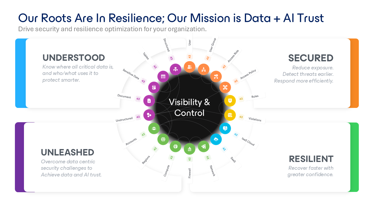 Our Roots Are In Resilience; Our Mission is Data + AI Trust