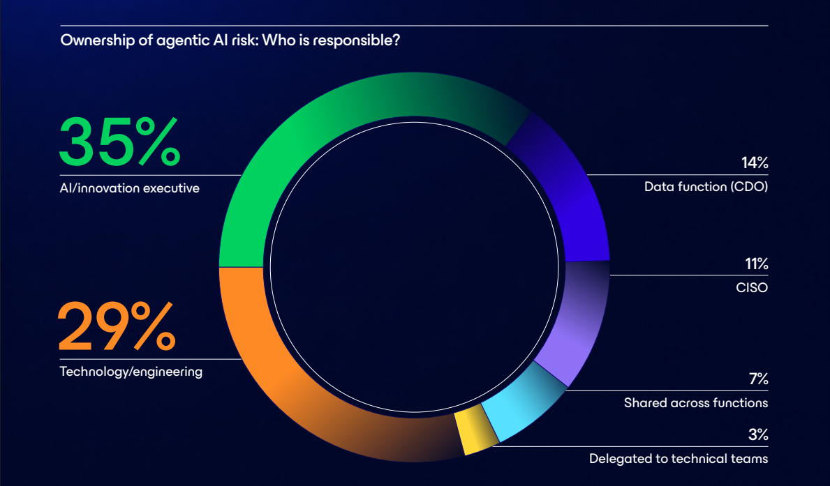 Agentic AI risk ownership