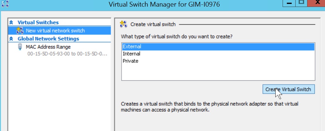 Figure 2. vSwitch Manager