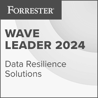 Wave Leader 2024